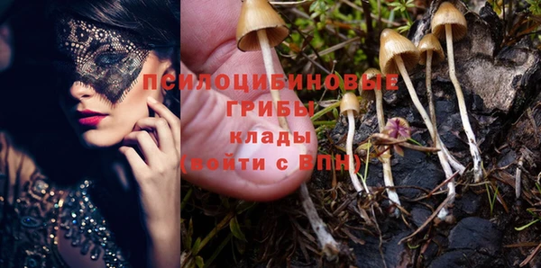 таблы Арсеньев