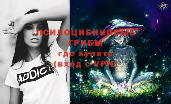 метадон Аркадак